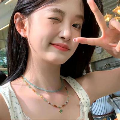 欢乐树的朋友们